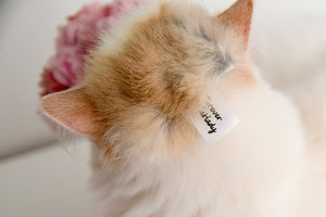 Furever Catlady #trumpyourcat wig, Cruelty Free toy