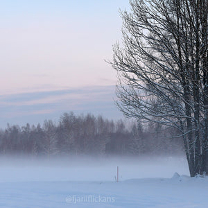 Winter wonderland Wallpaper set. 5 photos for mobile phone and desktop